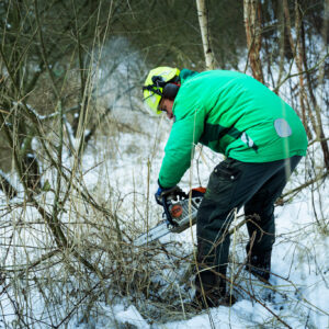 naturpleje beskærring